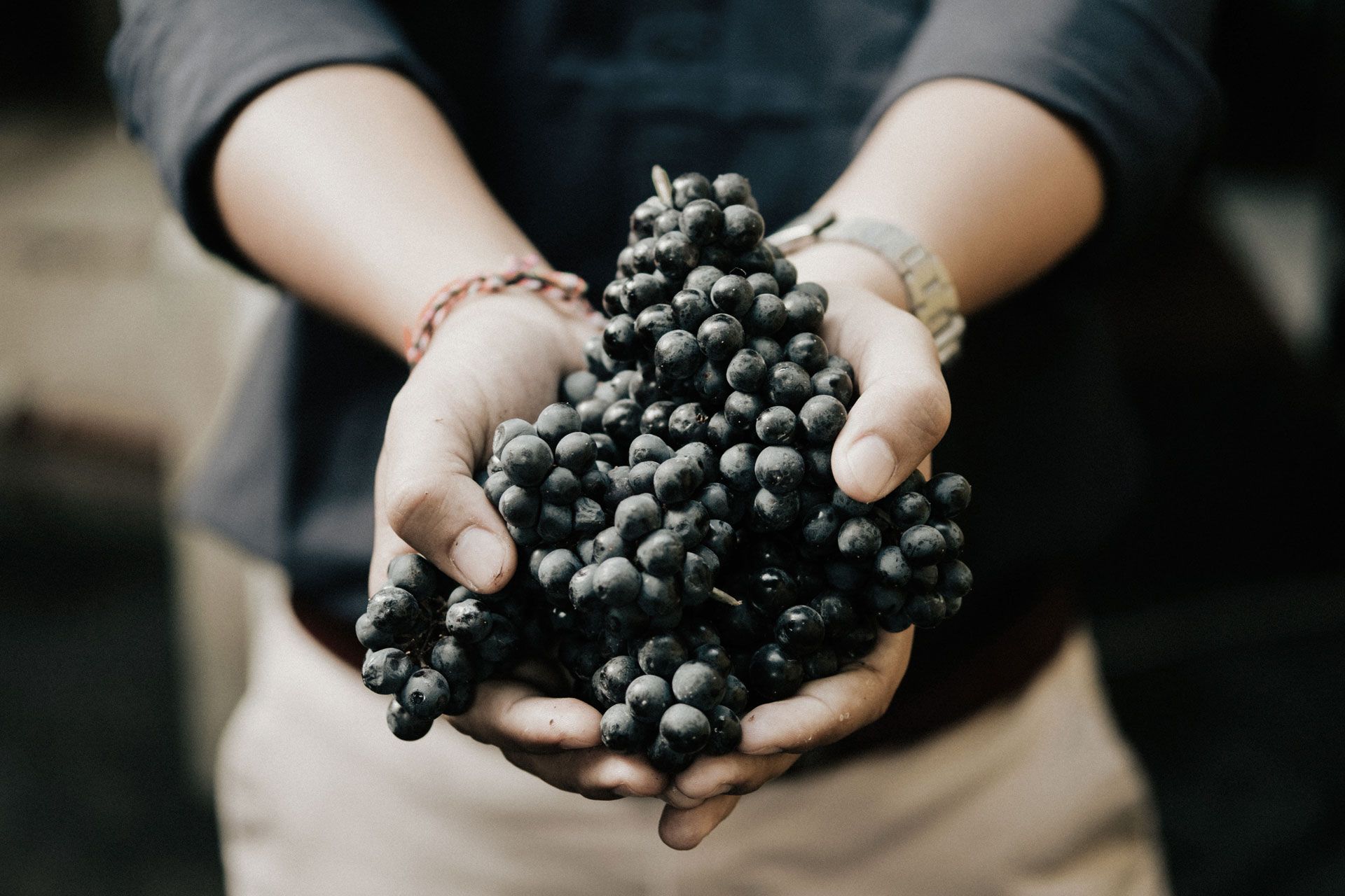 WHERE YOU CAN FIND OUR WINES